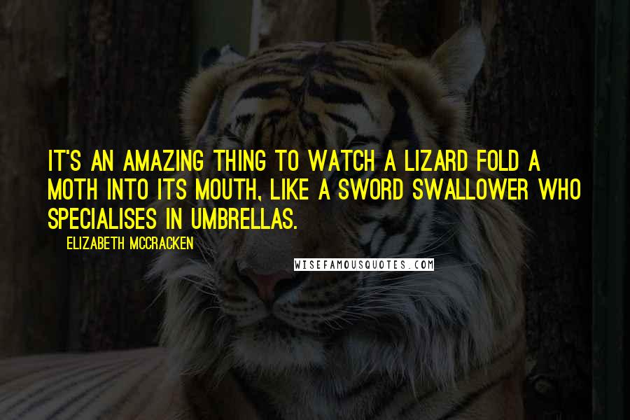Elizabeth McCracken Quotes: It's an amazing thing to watch a lizard fold a moth into its mouth, like a sword swallower who specialises in umbrellas.