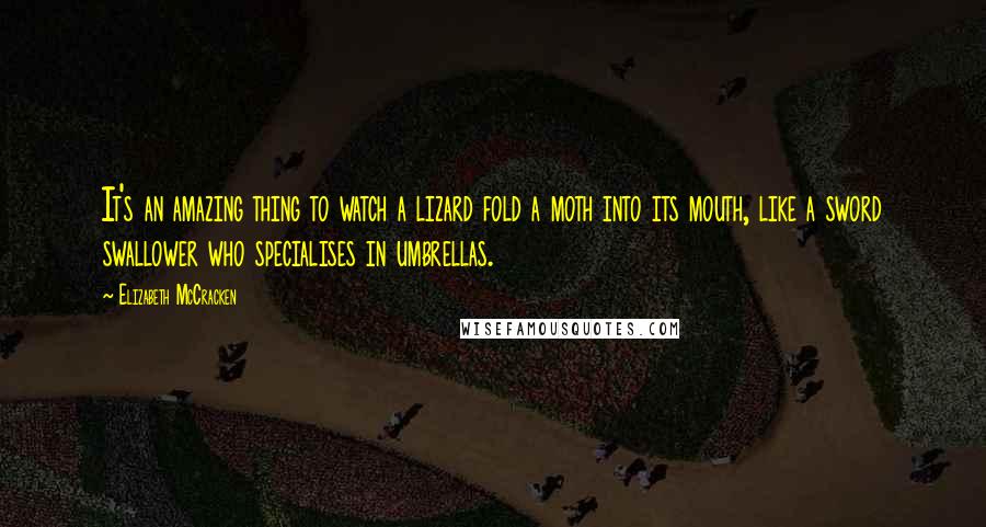 Elizabeth McCracken Quotes: It's an amazing thing to watch a lizard fold a moth into its mouth, like a sword swallower who specialises in umbrellas.