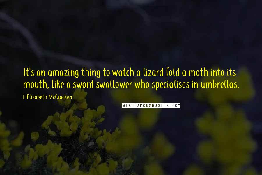 Elizabeth McCracken Quotes: It's an amazing thing to watch a lizard fold a moth into its mouth, like a sword swallower who specialises in umbrellas.