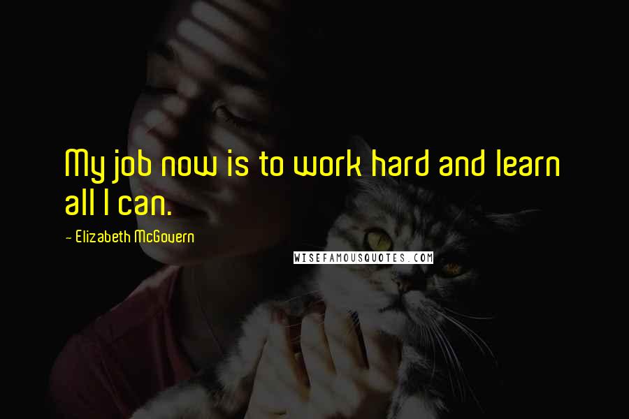 Elizabeth McGovern Quotes: My job now is to work hard and learn all I can.