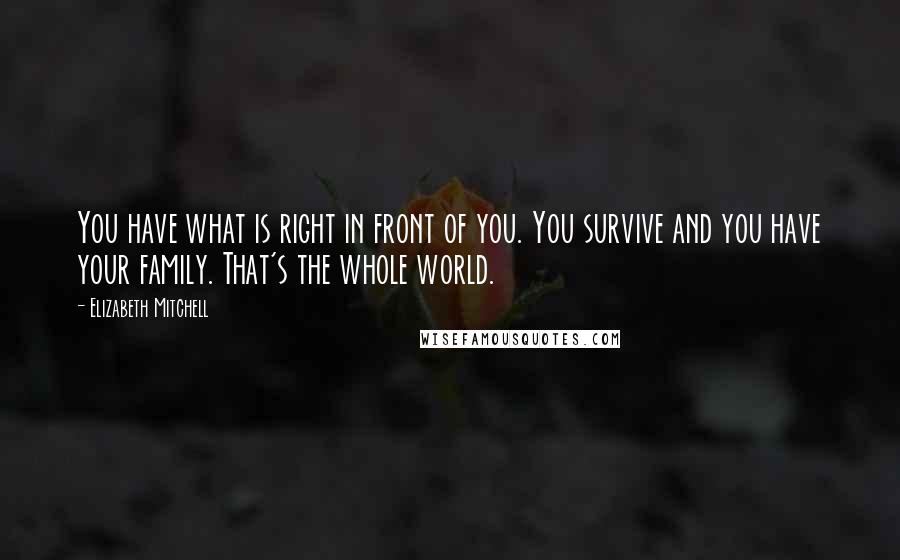 Elizabeth Mitchell Quotes: You have what is right in front of you. You survive and you have your family. That's the whole world.