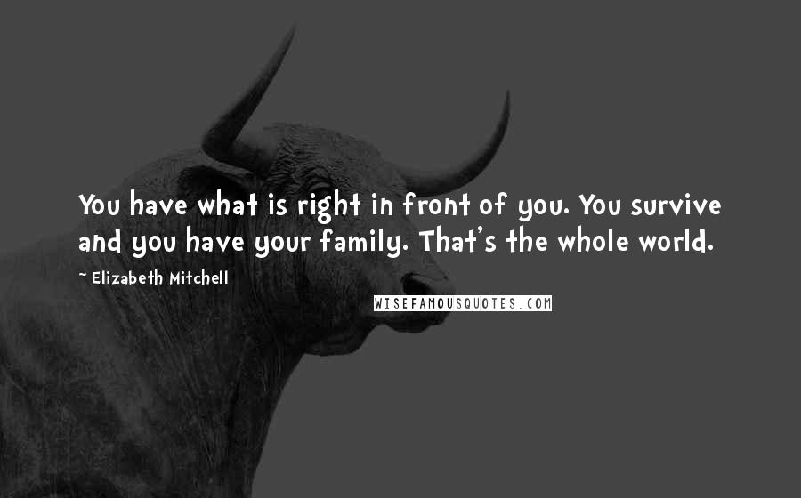 Elizabeth Mitchell Quotes: You have what is right in front of you. You survive and you have your family. That's the whole world.