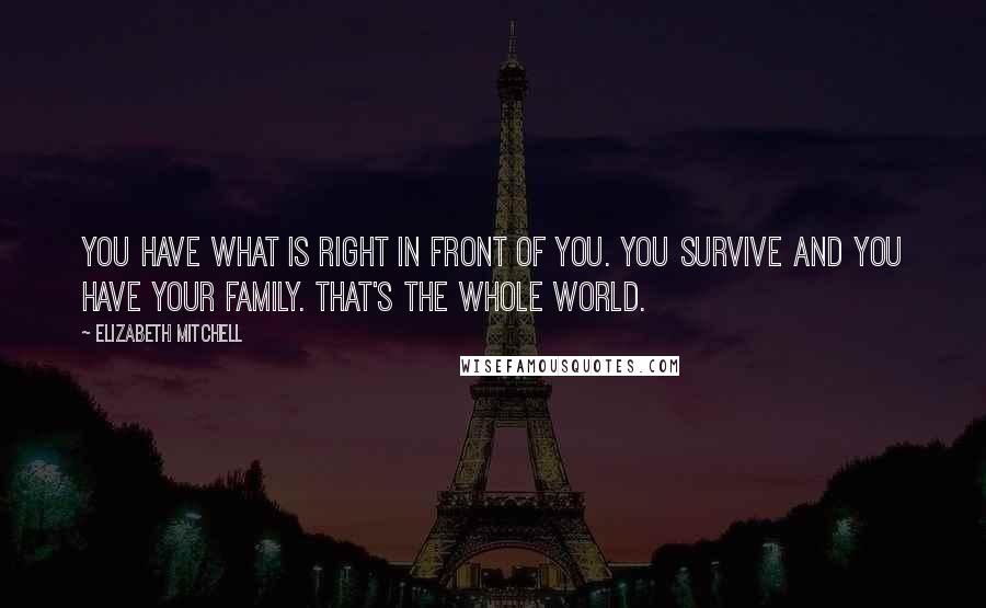 Elizabeth Mitchell Quotes: You have what is right in front of you. You survive and you have your family. That's the whole world.