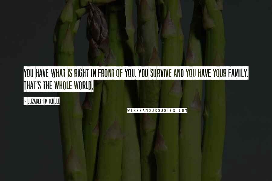 Elizabeth Mitchell Quotes: You have what is right in front of you. You survive and you have your family. That's the whole world.