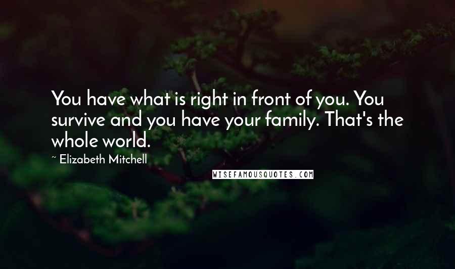 Elizabeth Mitchell Quotes: You have what is right in front of you. You survive and you have your family. That's the whole world.