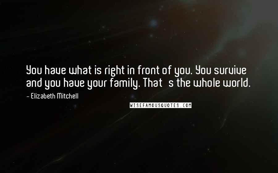 Elizabeth Mitchell Quotes: You have what is right in front of you. You survive and you have your family. That's the whole world.