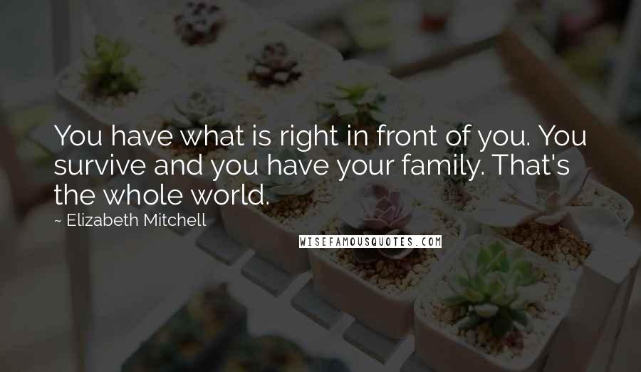 Elizabeth Mitchell Quotes: You have what is right in front of you. You survive and you have your family. That's the whole world.