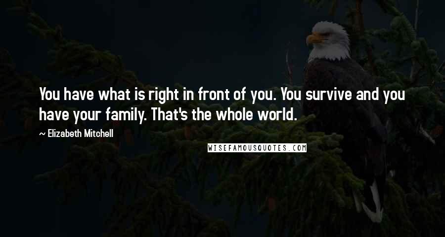 Elizabeth Mitchell Quotes: You have what is right in front of you. You survive and you have your family. That's the whole world.