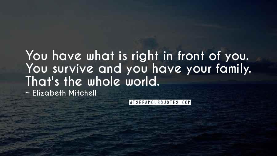 Elizabeth Mitchell Quotes: You have what is right in front of you. You survive and you have your family. That's the whole world.