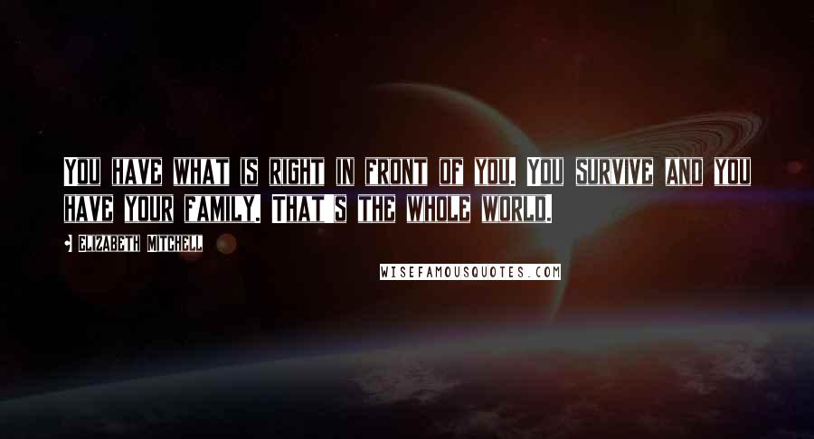 Elizabeth Mitchell Quotes: You have what is right in front of you. You survive and you have your family. That's the whole world.