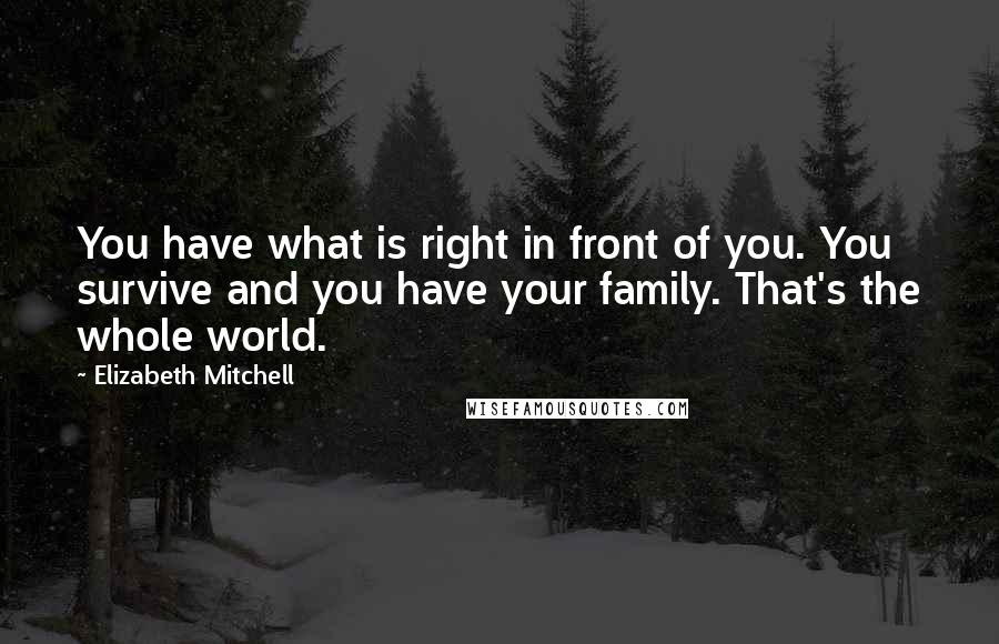 Elizabeth Mitchell Quotes: You have what is right in front of you. You survive and you have your family. That's the whole world.