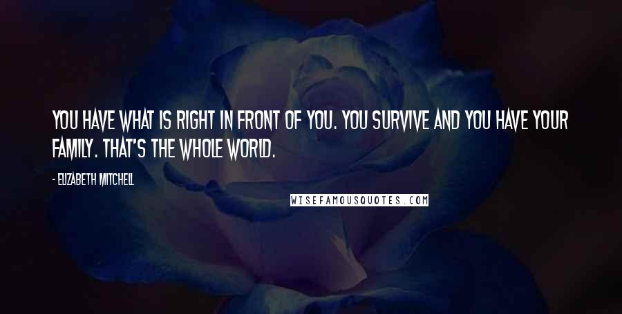 Elizabeth Mitchell Quotes: You have what is right in front of you. You survive and you have your family. That's the whole world.