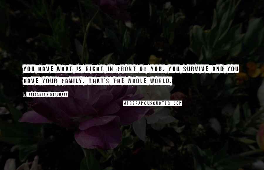 Elizabeth Mitchell Quotes: You have what is right in front of you. You survive and you have your family. That's the whole world.