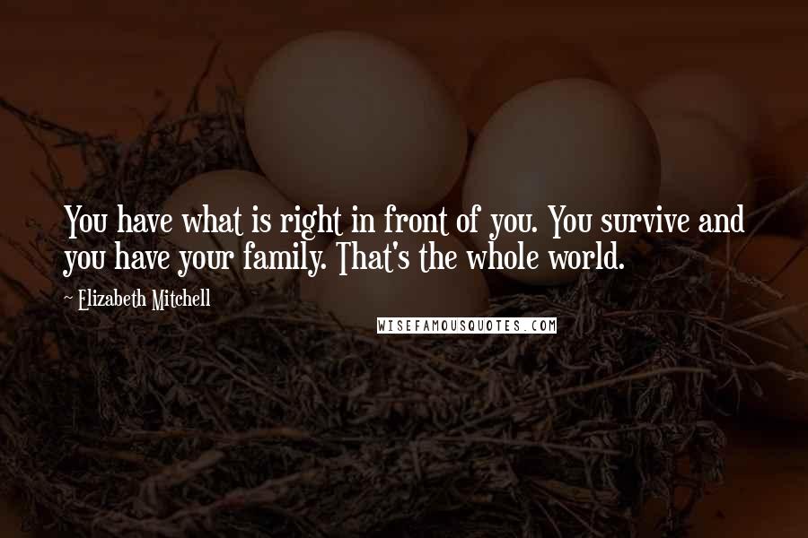 Elizabeth Mitchell Quotes: You have what is right in front of you. You survive and you have your family. That's the whole world.