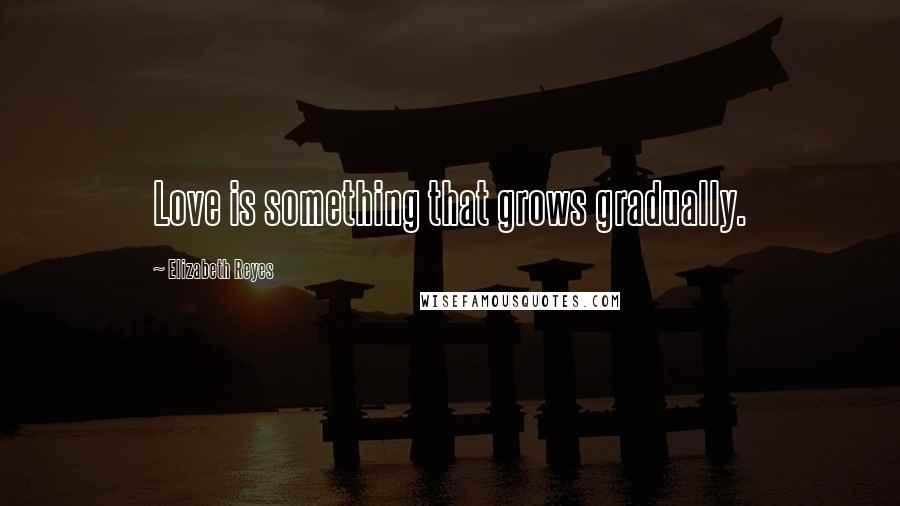 Elizabeth Reyes Quotes: Love is something that grows gradually.