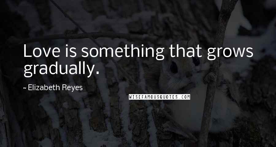 Elizabeth Reyes Quotes: Love is something that grows gradually.