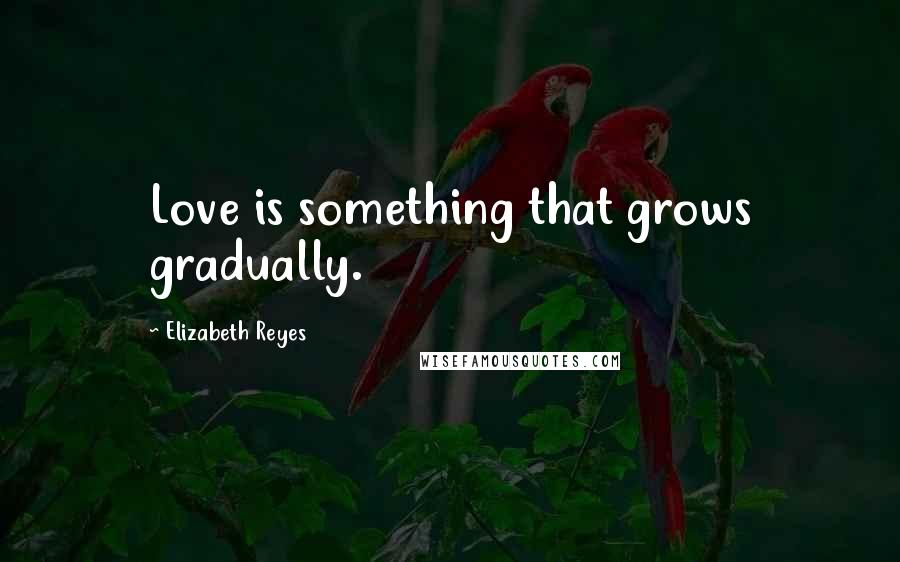 Elizabeth Reyes Quotes: Love is something that grows gradually.