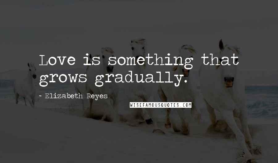 Elizabeth Reyes Quotes: Love is something that grows gradually.