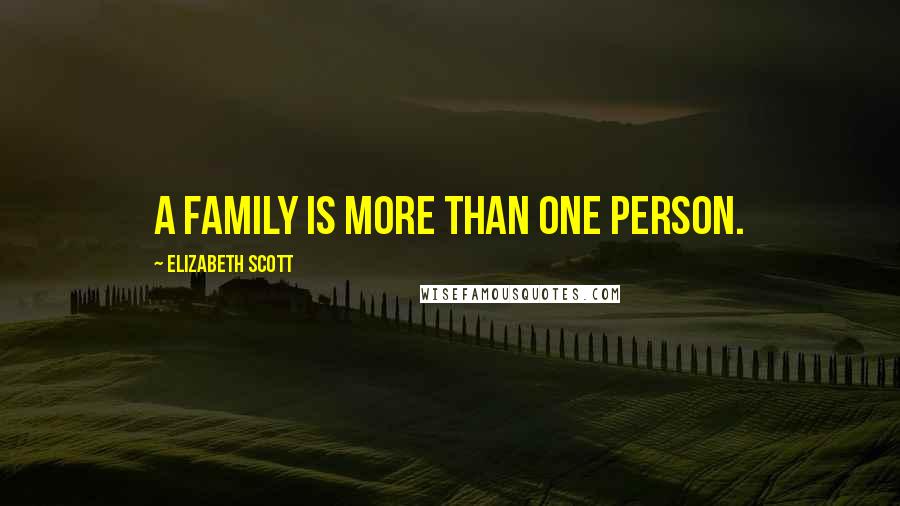 Elizabeth Scott Quotes: A family is more than one Person.
