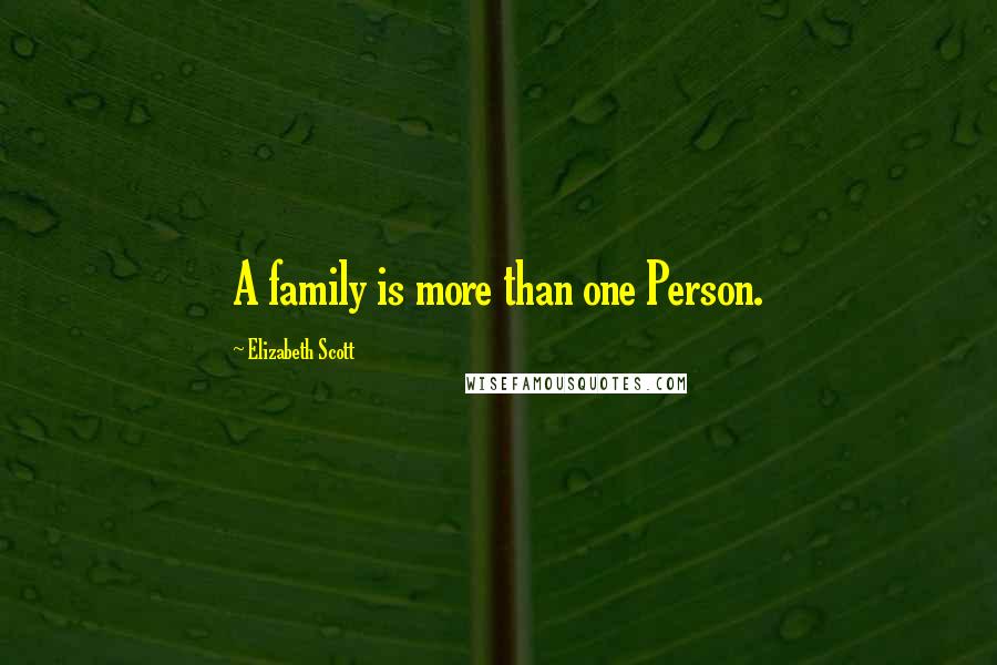 Elizabeth Scott Quotes: A family is more than one Person.