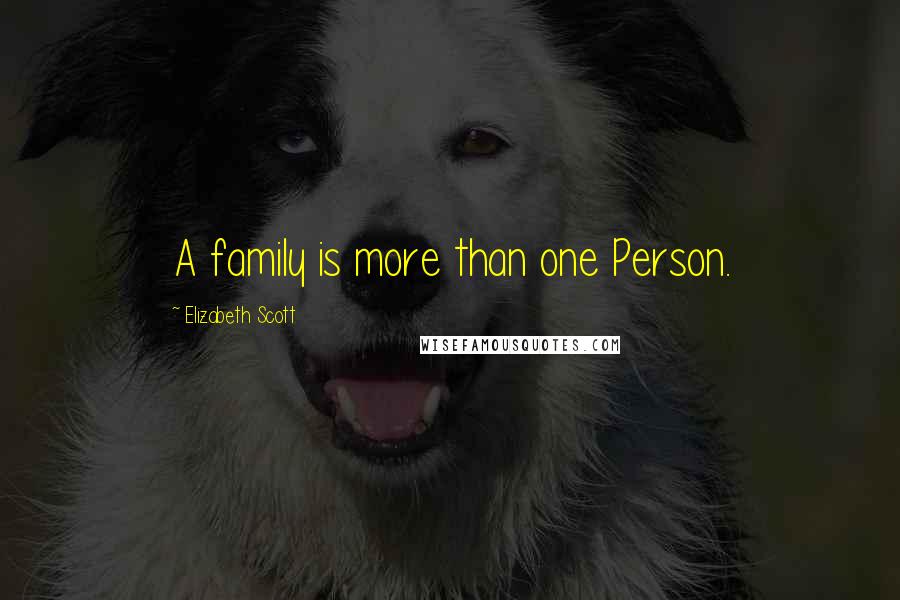 Elizabeth Scott Quotes: A family is more than one Person.