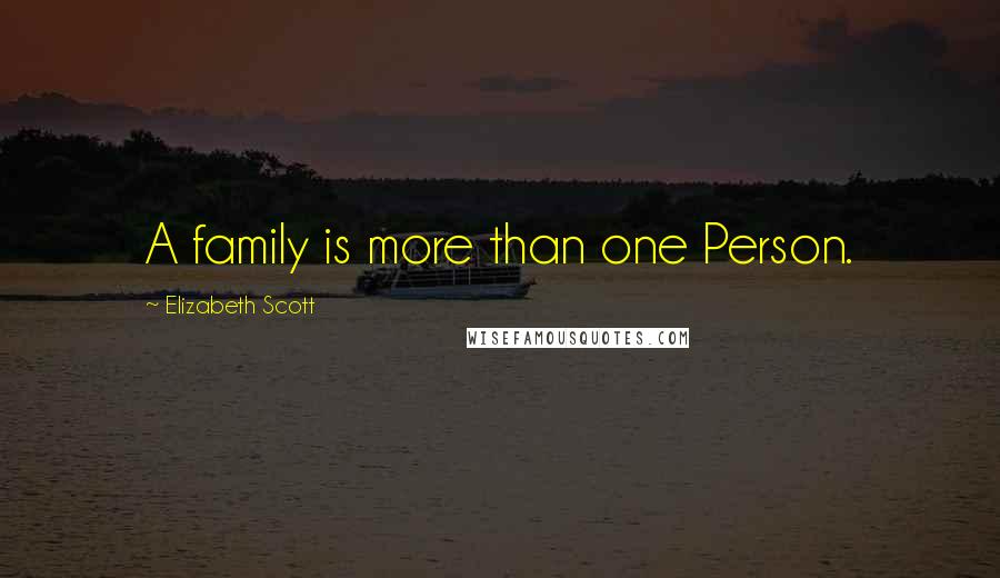 Elizabeth Scott Quotes: A family is more than one Person.