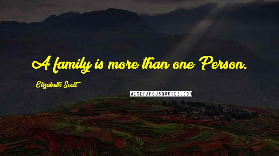 Elizabeth Scott Quotes: A family is more than one Person.
