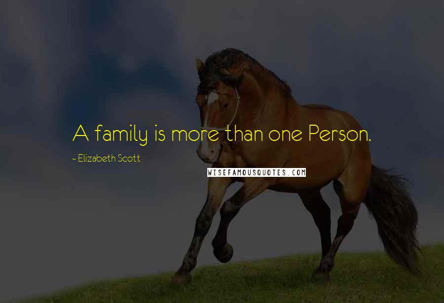 Elizabeth Scott Quotes: A family is more than one Person.