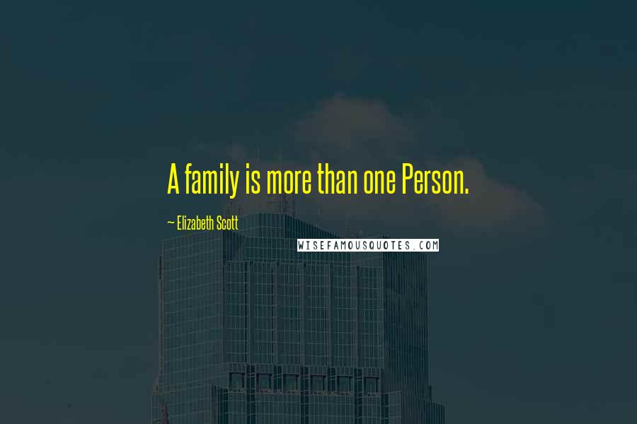 Elizabeth Scott Quotes: A family is more than one Person.