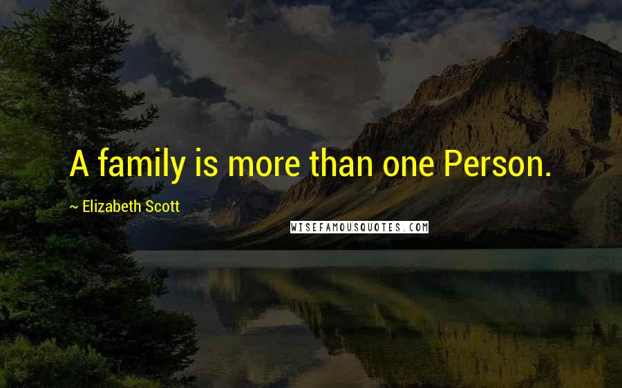 Elizabeth Scott Quotes: A family is more than one Person.