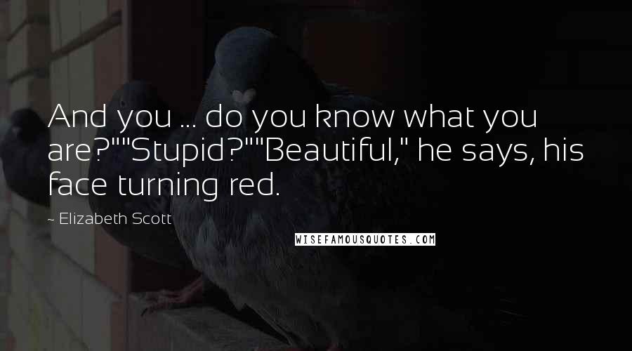 Elizabeth Scott Quotes: And you ... do you know what you are?""Stupid?""Beautiful," he says, his face turning red.