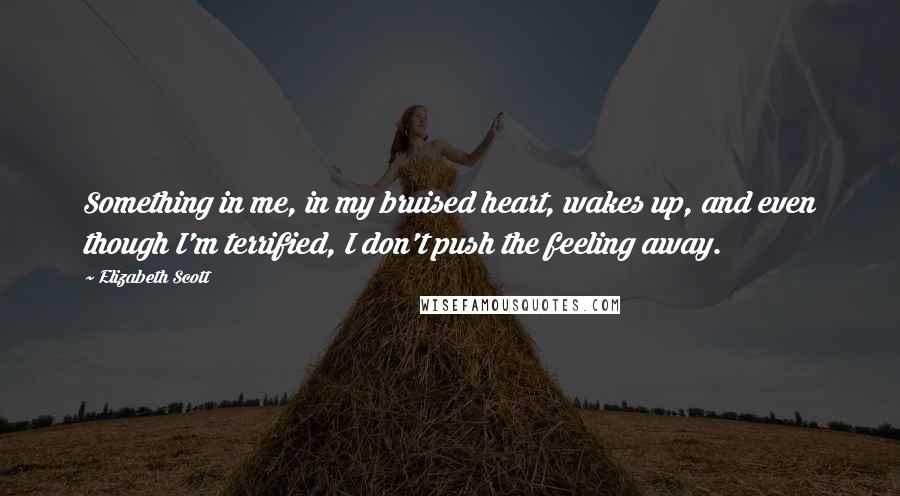 Elizabeth Scott Quotes: Something in me, in my bruised heart, wakes up, and even though I'm terrified, I don't push the feeling away.