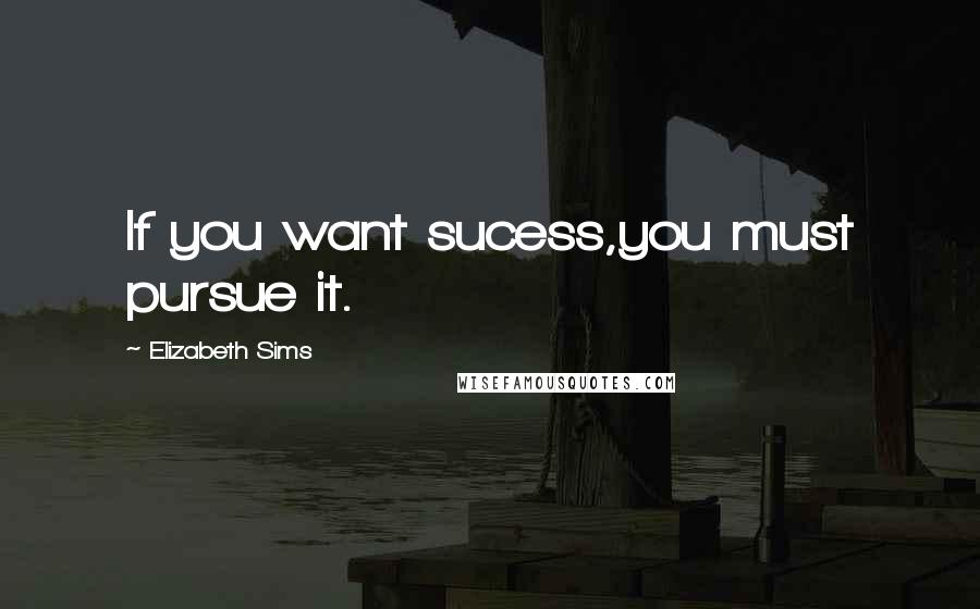 Elizabeth Sims Quotes: If you want sucess,you must pursue it.