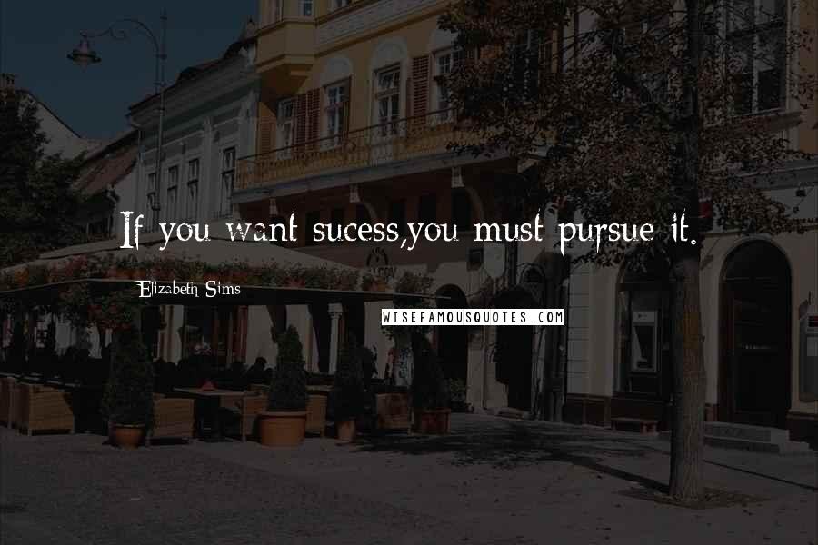 Elizabeth Sims Quotes: If you want sucess,you must pursue it.