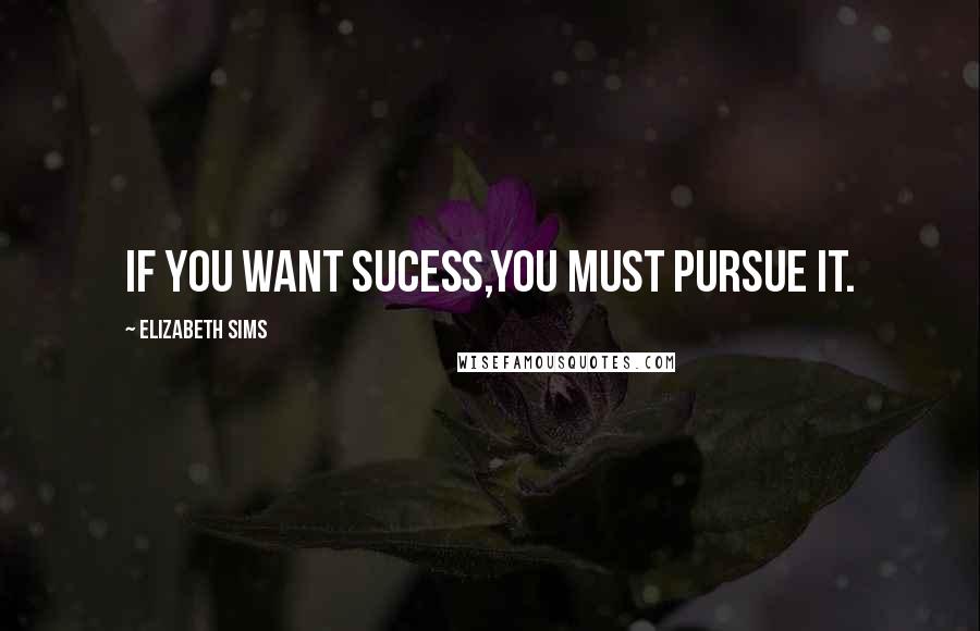Elizabeth Sims Quotes: If you want sucess,you must pursue it.