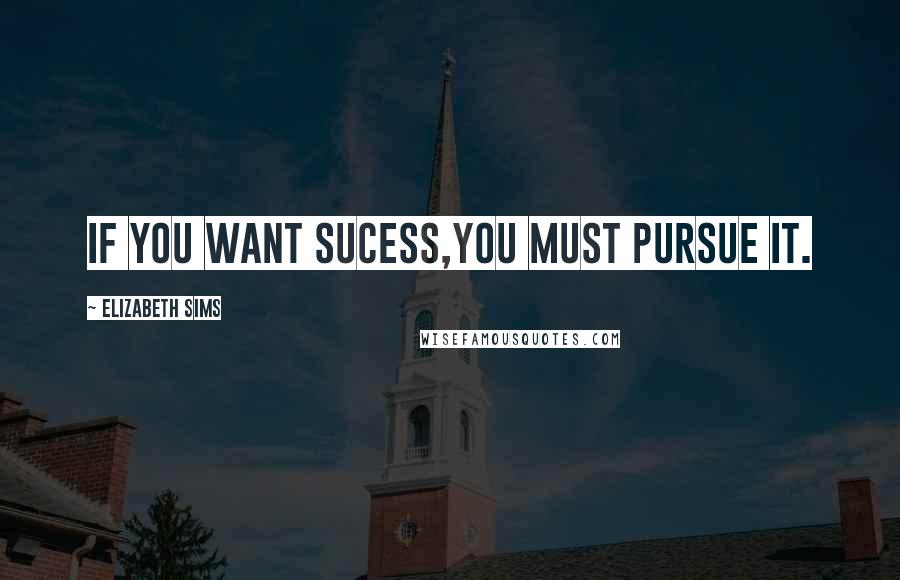 Elizabeth Sims Quotes: If you want sucess,you must pursue it.