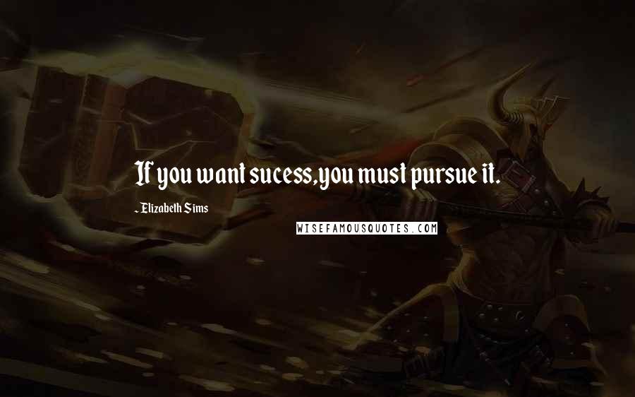 Elizabeth Sims Quotes: If you want sucess,you must pursue it.