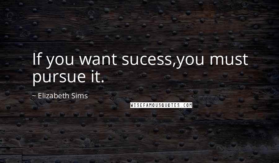 Elizabeth Sims Quotes: If you want sucess,you must pursue it.