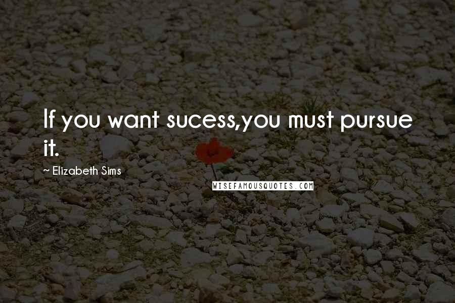 Elizabeth Sims Quotes: If you want sucess,you must pursue it.