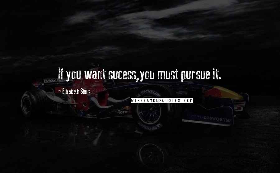 Elizabeth Sims Quotes: If you want sucess,you must pursue it.