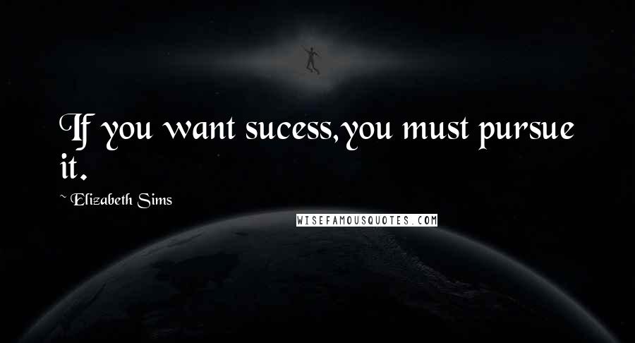 Elizabeth Sims Quotes: If you want sucess,you must pursue it.