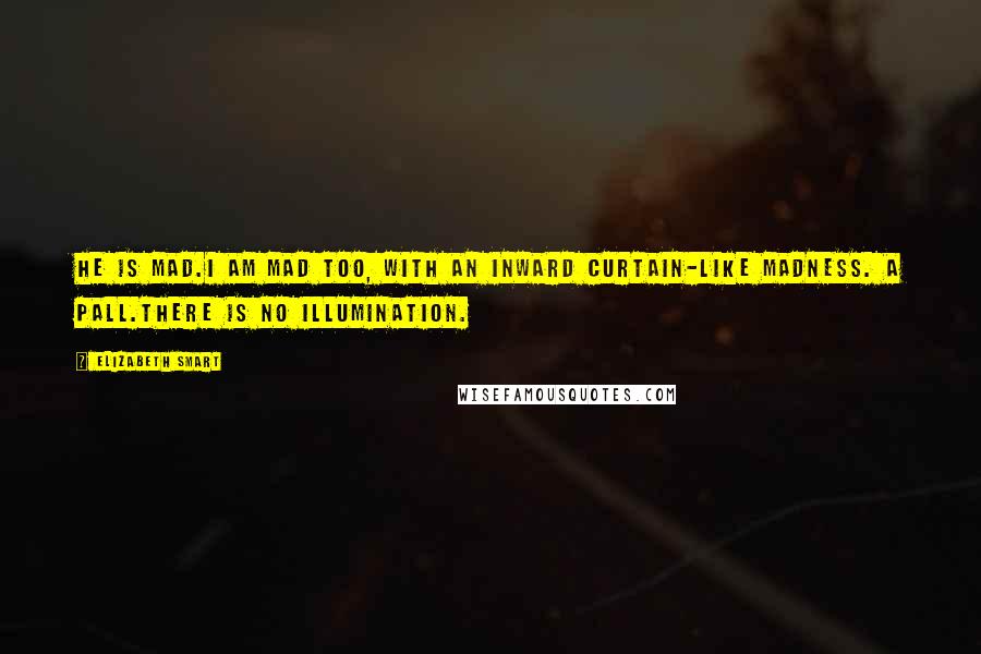 Elizabeth Smart Quotes: He is mad.I am mad too, with an inward curtain-like madness. A pall.There is no illumination.