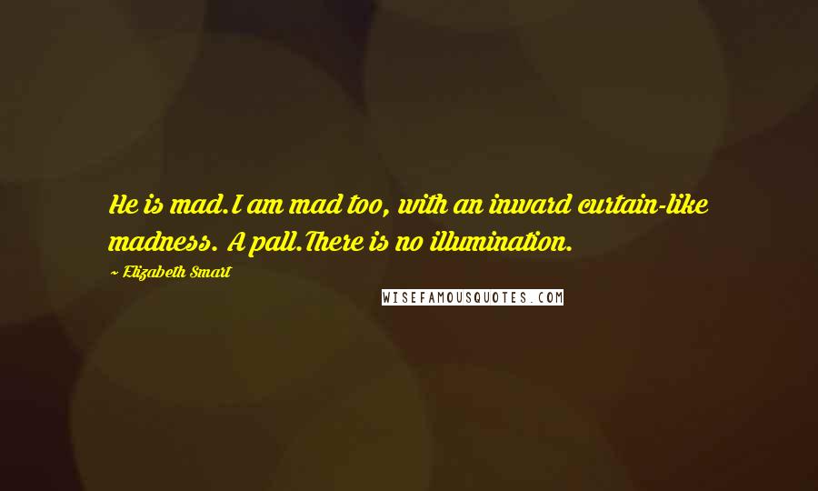 Elizabeth Smart Quotes: He is mad.I am mad too, with an inward curtain-like madness. A pall.There is no illumination.