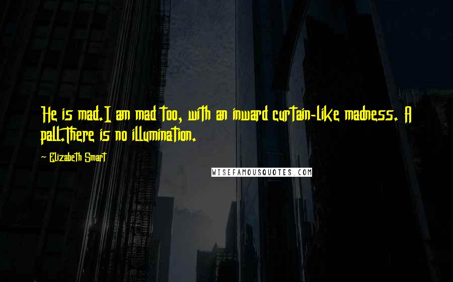 Elizabeth Smart Quotes: He is mad.I am mad too, with an inward curtain-like madness. A pall.There is no illumination.