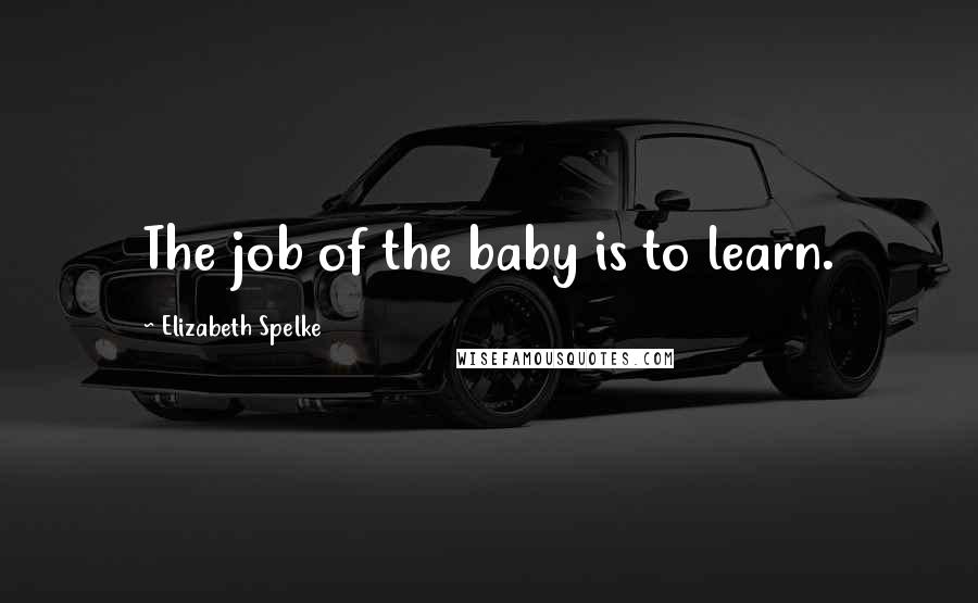 Elizabeth Spelke Quotes: The job of the baby is to learn.