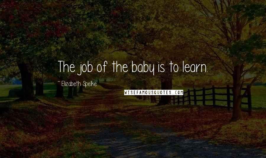 Elizabeth Spelke Quotes: The job of the baby is to learn.