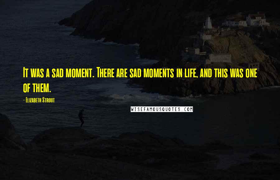 Elizabeth Strout Quotes: It was a sad moment. There are sad moments in life, and this was one of them.