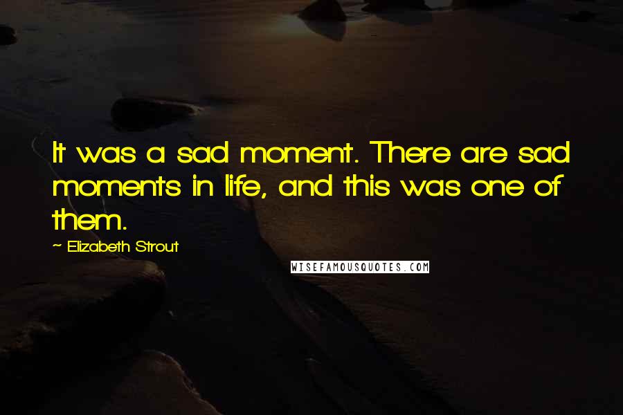 Elizabeth Strout Quotes: It was a sad moment. There are sad moments in life, and this was one of them.