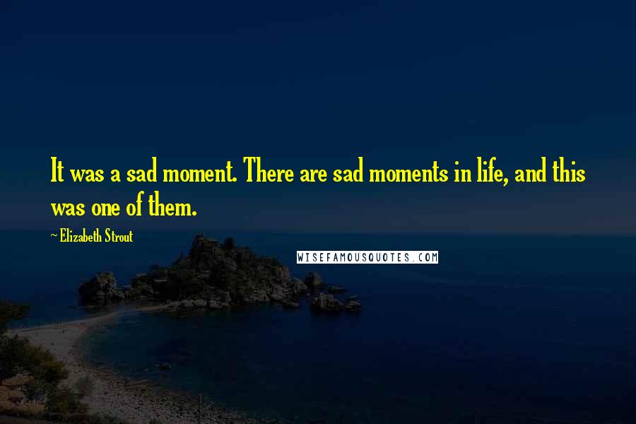 Elizabeth Strout Quotes: It was a sad moment. There are sad moments in life, and this was one of them.