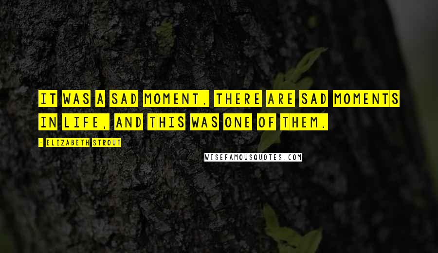 Elizabeth Strout Quotes: It was a sad moment. There are sad moments in life, and this was one of them.